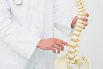 Doctor showing a spinal chord